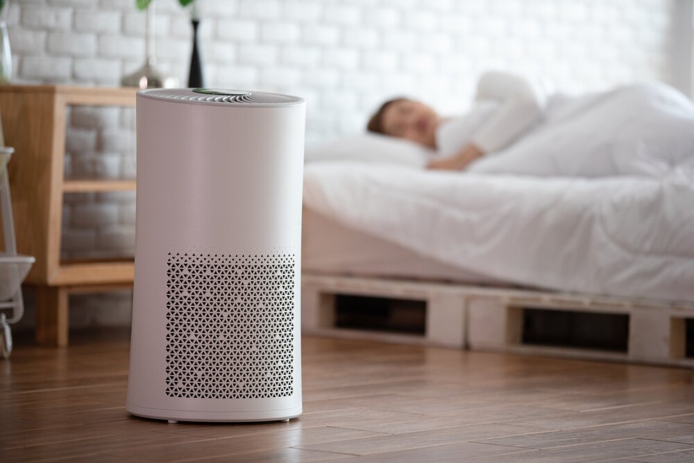 Home Air Purifiers in Mount Vernon